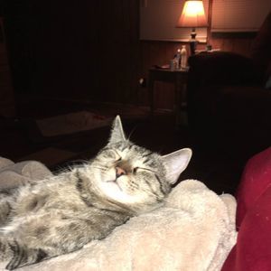 Meet your Posher, Gail